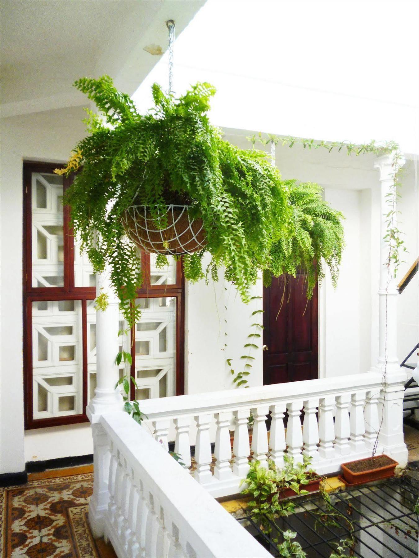 Hotel Santa Cruz Cartagena Bagian luar foto